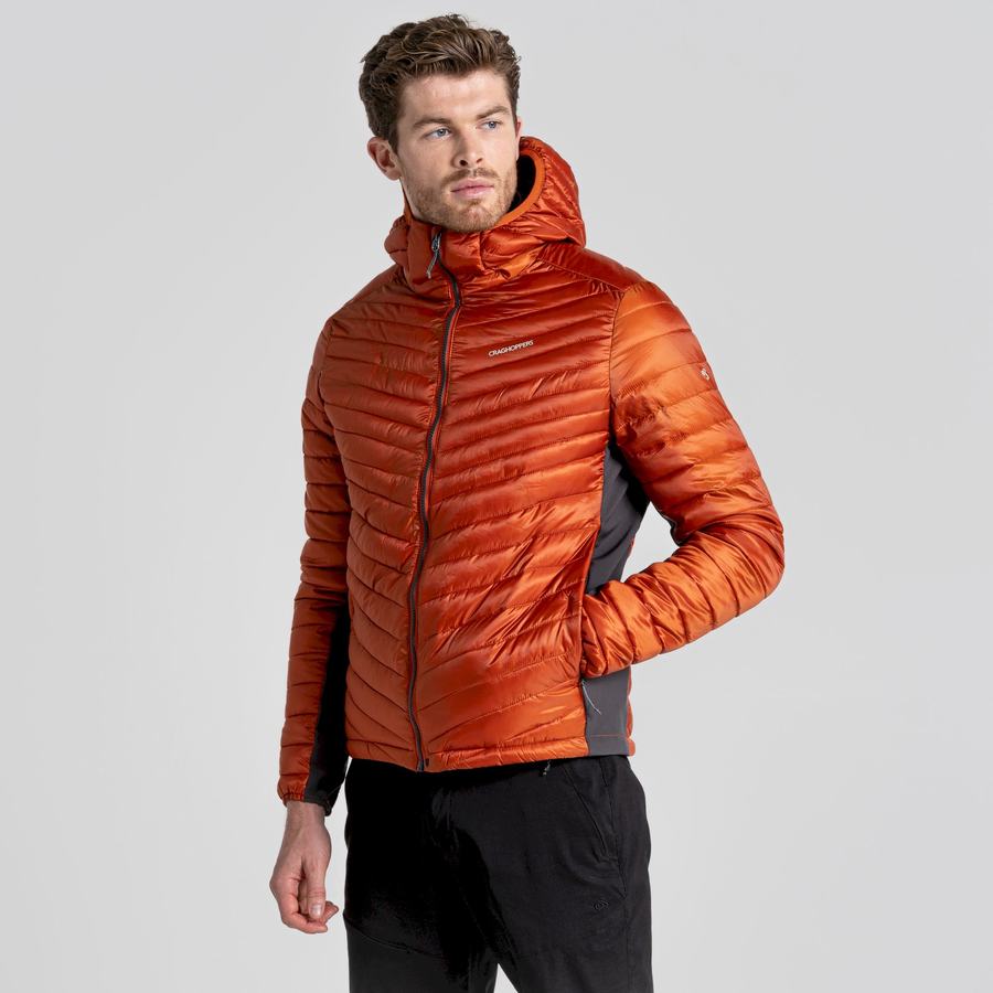 Craghoppers ExpoLite Insulated Hætte Jakker Herre Orange | ABN9928XT