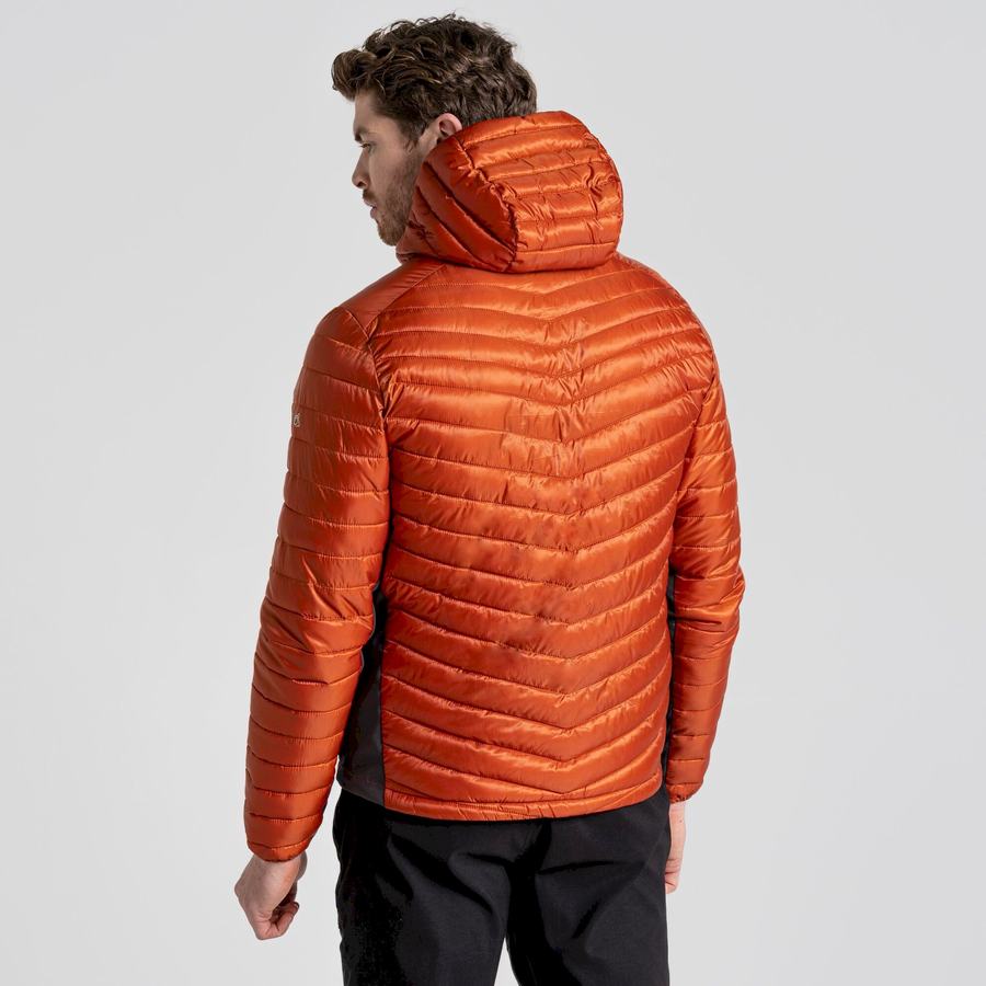 Craghoppers ExpoLite Insulated Hætte Jakker Herre Orange | ABN9928XT