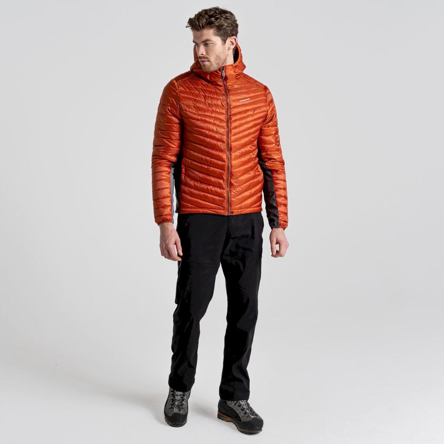 Craghoppers ExpoLite Insulated Hætte Jakker Herre Orange | ABN9928XT