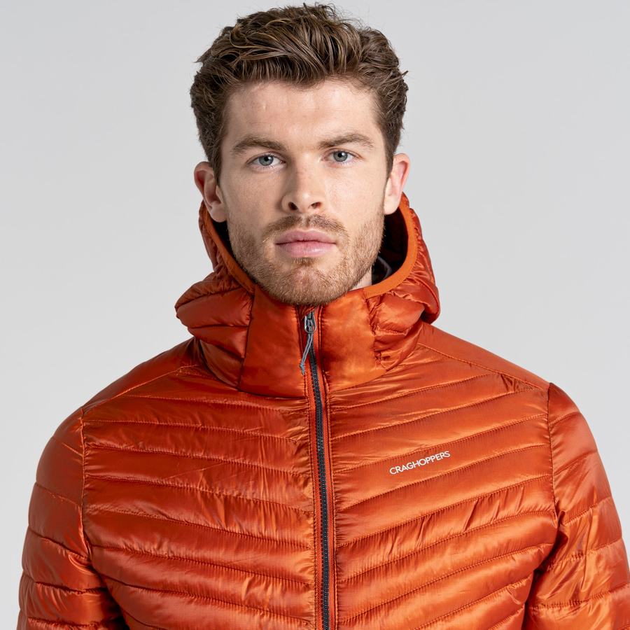 Craghoppers ExpoLite Insulated Hætte Jakker Herre Orange | ABN9928XT