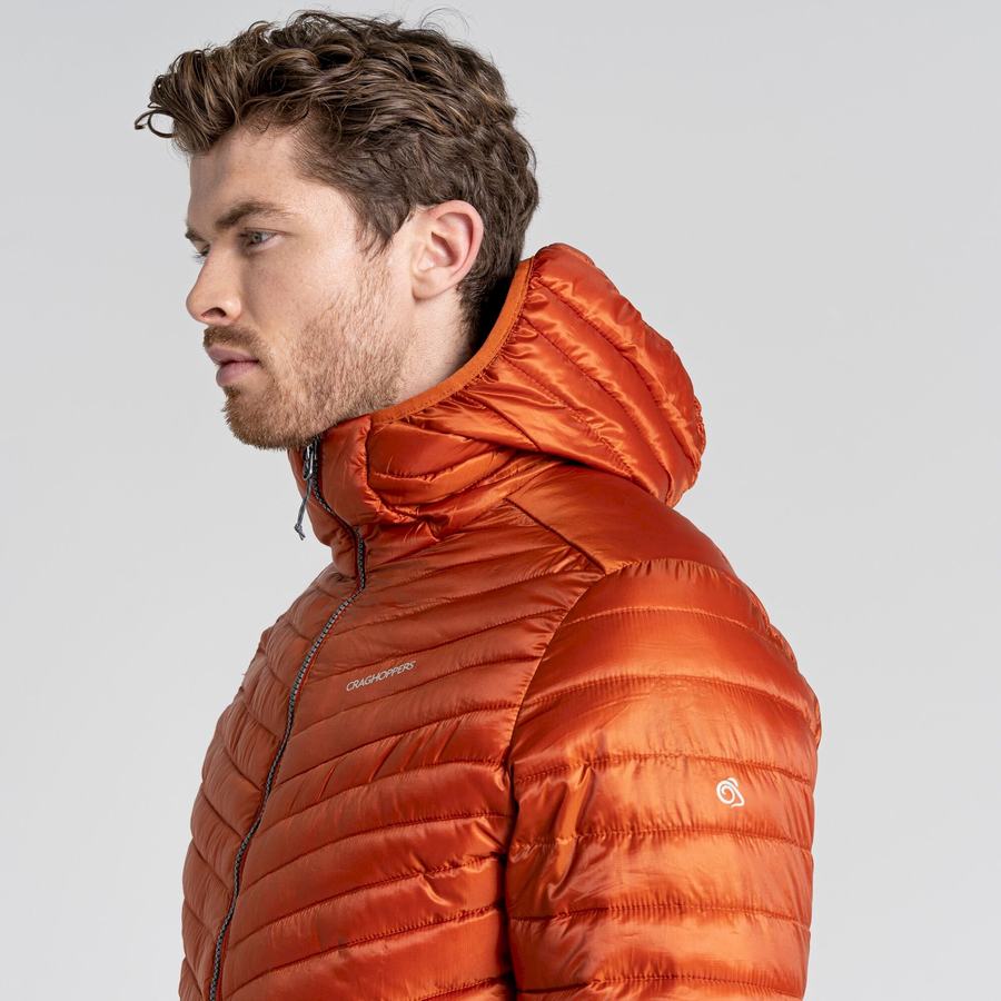 Craghoppers ExpoLite Insulated Hætte Jakker Herre Orange | ABN9928XT