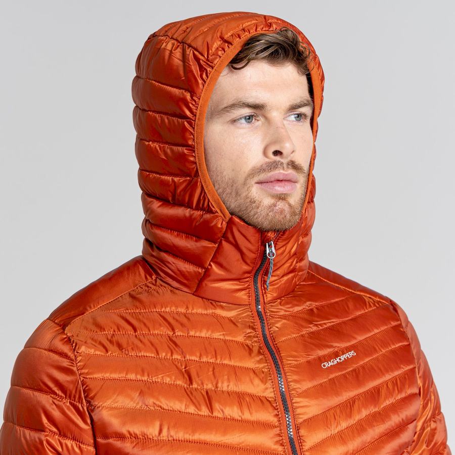 Craghoppers ExpoLite Insulated Hætte Jakker Herre Orange | ABN9928XT