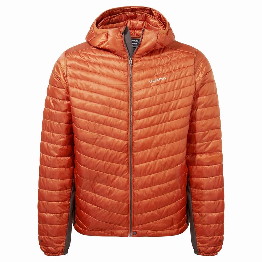 Craghoppers ExpoLite Insulated Hætte Jakker Herre Orange | ABN9928XT