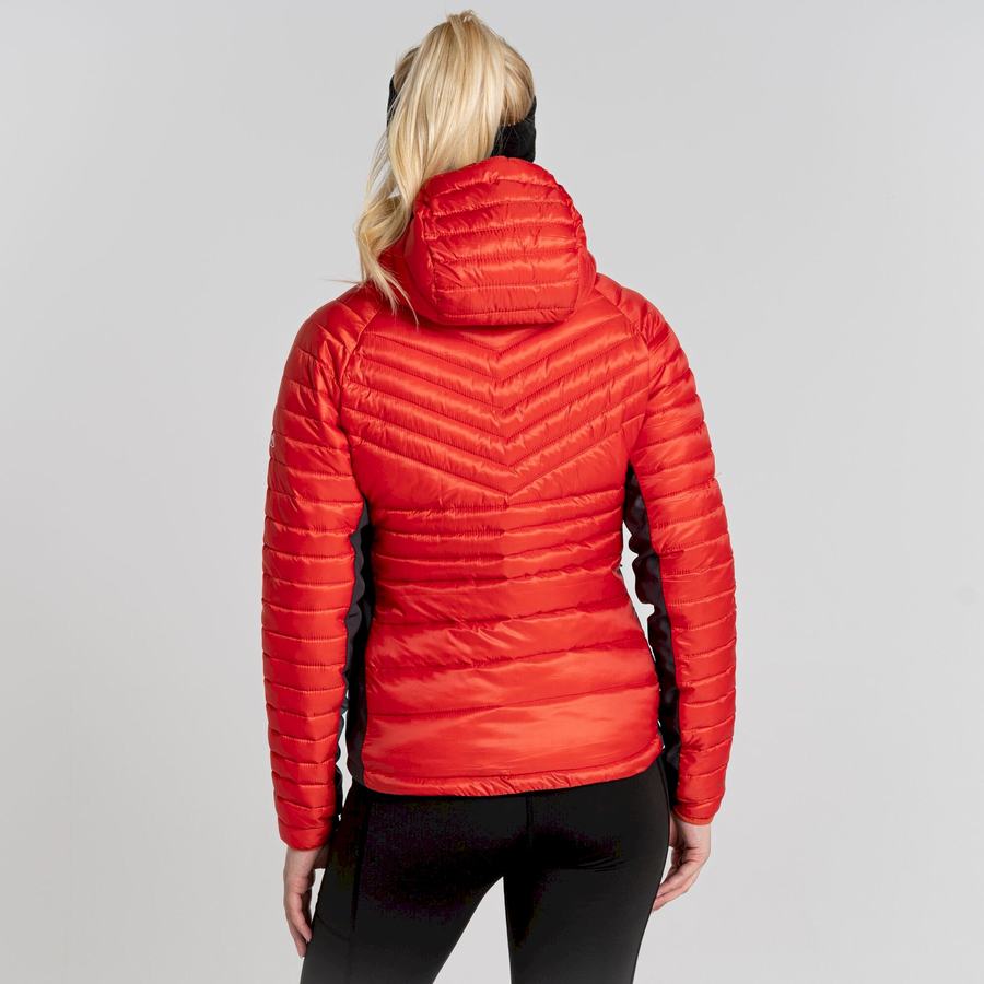 Craghoppers ExpoLite Insulated Hætte Jakker Dame Orange | KZV6632HO