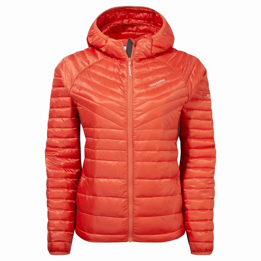 Craghoppers ExpoLite Insulated Hætte Jakker Dame Orange | KZV6632HO