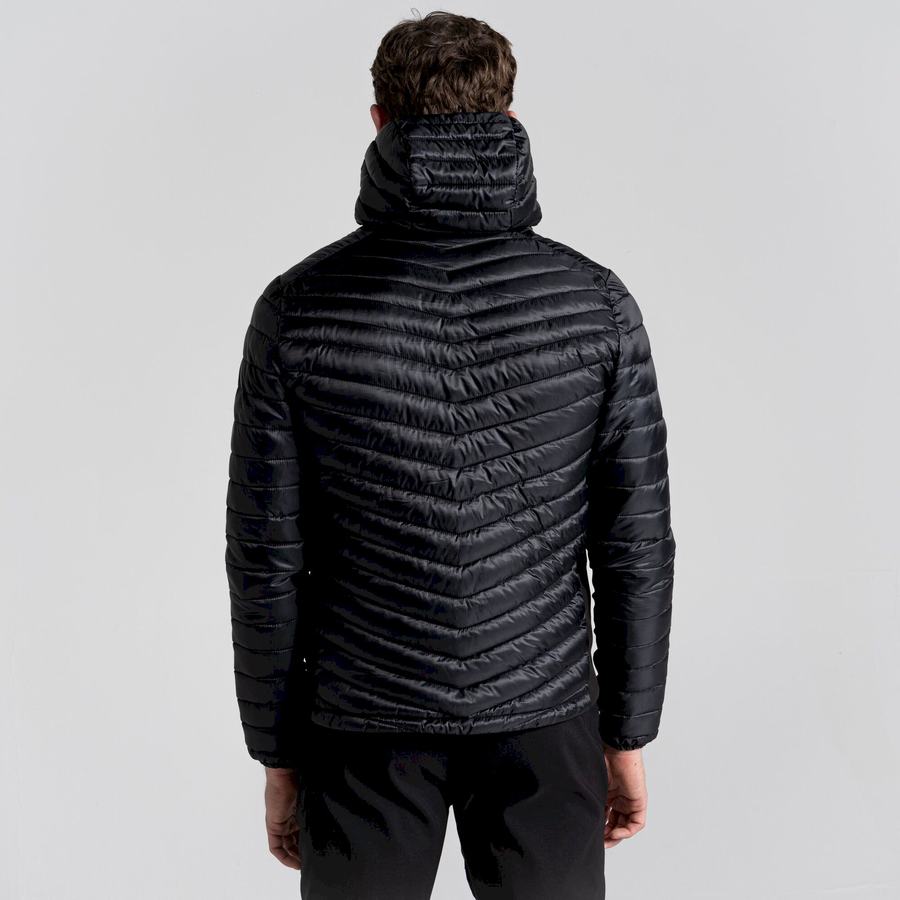 Craghoppers ExpoLite Insulated Hætte Jakker Herre Sort | VIV7323XY