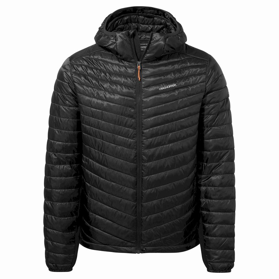 Craghoppers ExpoLite Insulated Hætte Jakker Herre Sort | VIV7323XY