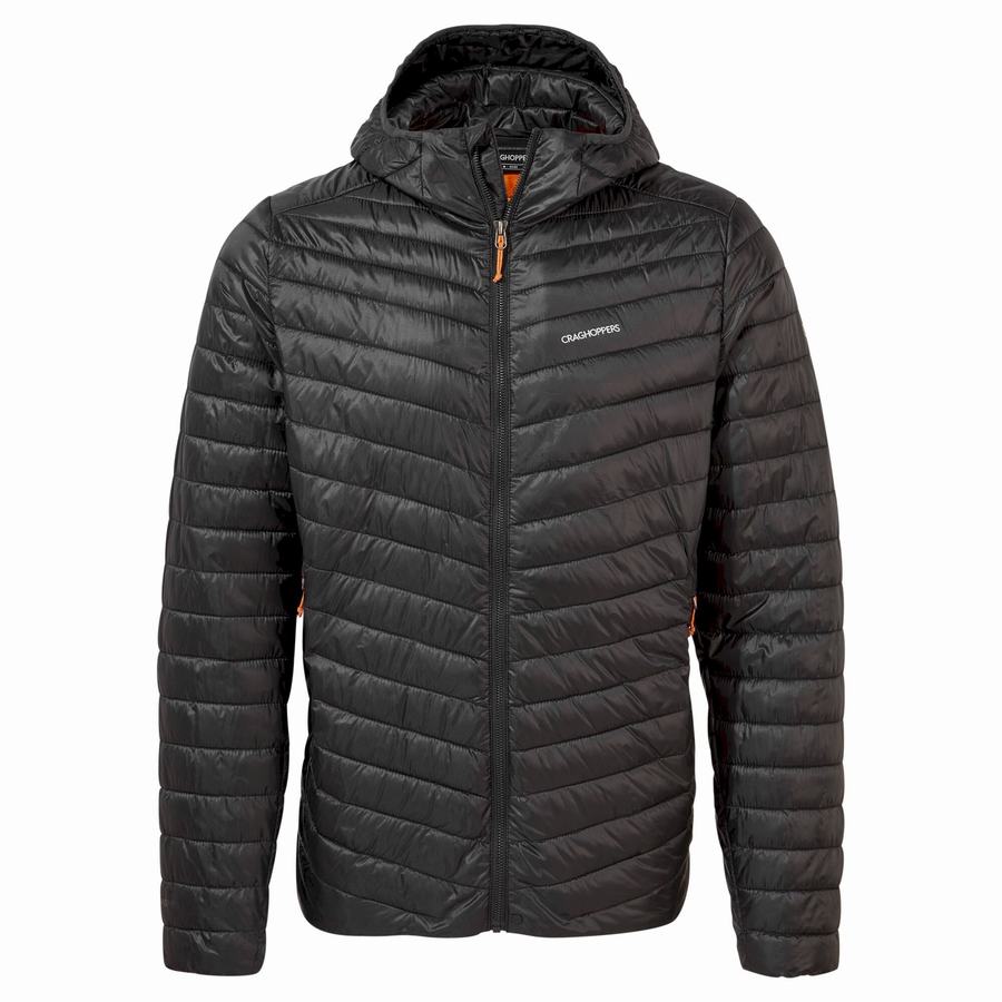 Craghoppers Insulated ExpoLite Hætte Jakker Herre Sort Orange | EBH1117OY