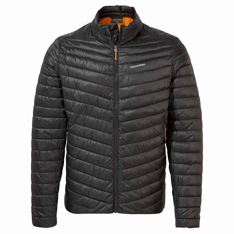 Craghoppers Insulated ExpoLite Jakker Herre Sort Orange | MEM2154NQ