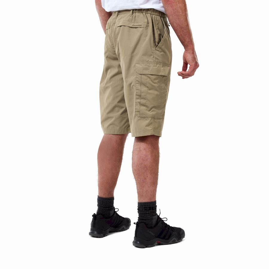 Craghoppers Kiwi Long Shorts Herre Khaki | AME7127GJ