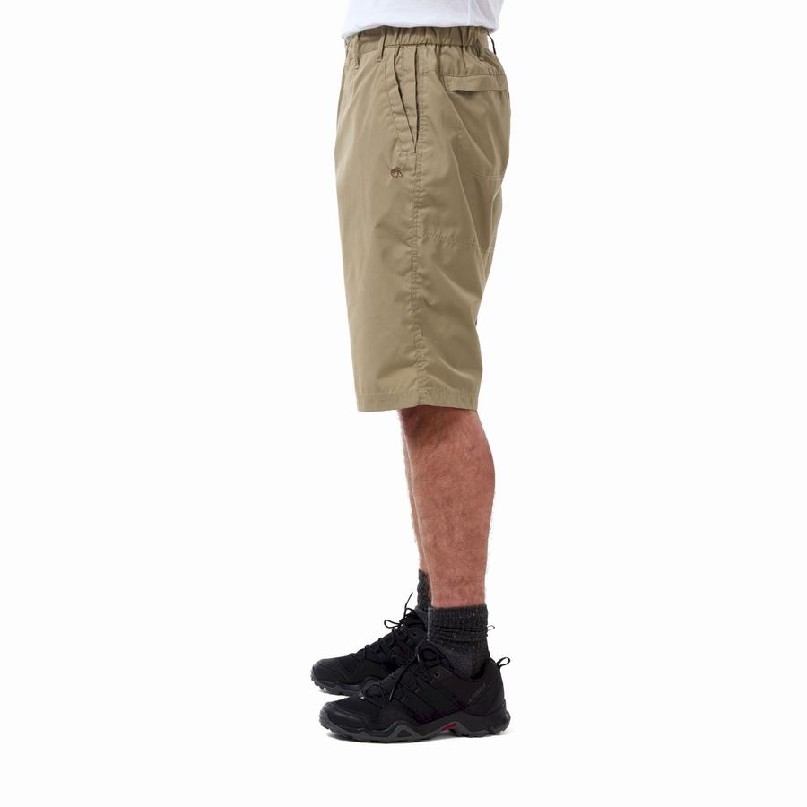 Craghoppers Kiwi Long Shorts Herre Khaki | AME7127GJ