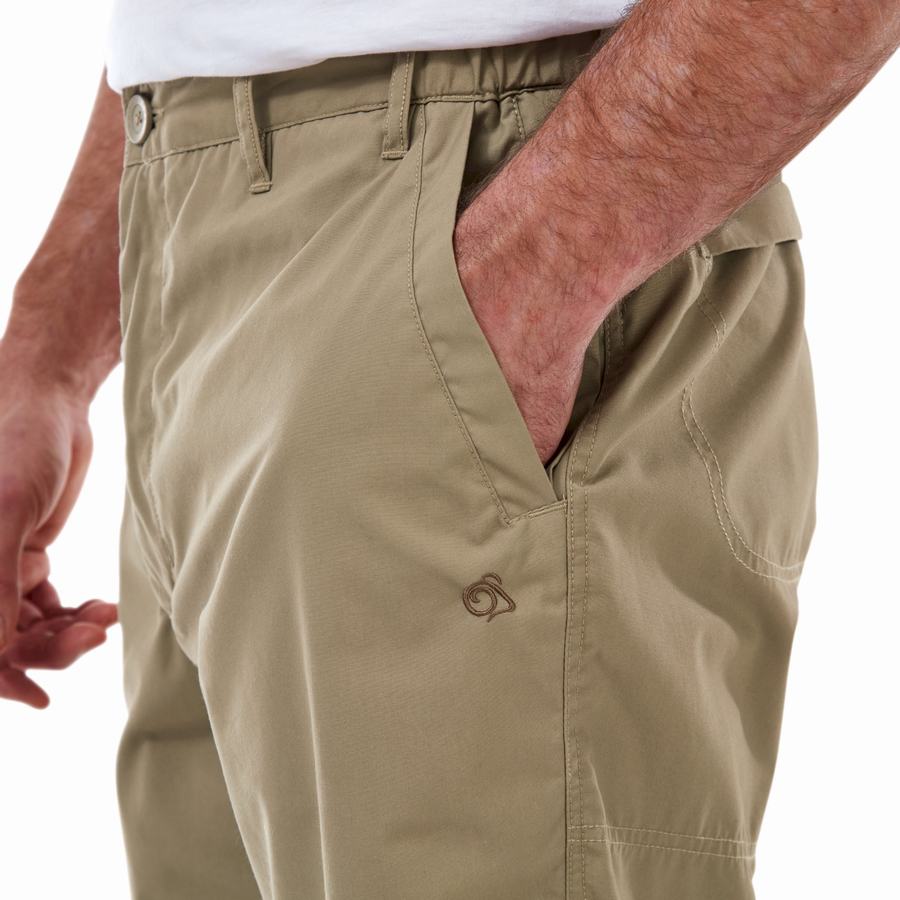 Craghoppers Kiwi Long Shorts Herre Khaki | AME7127GJ