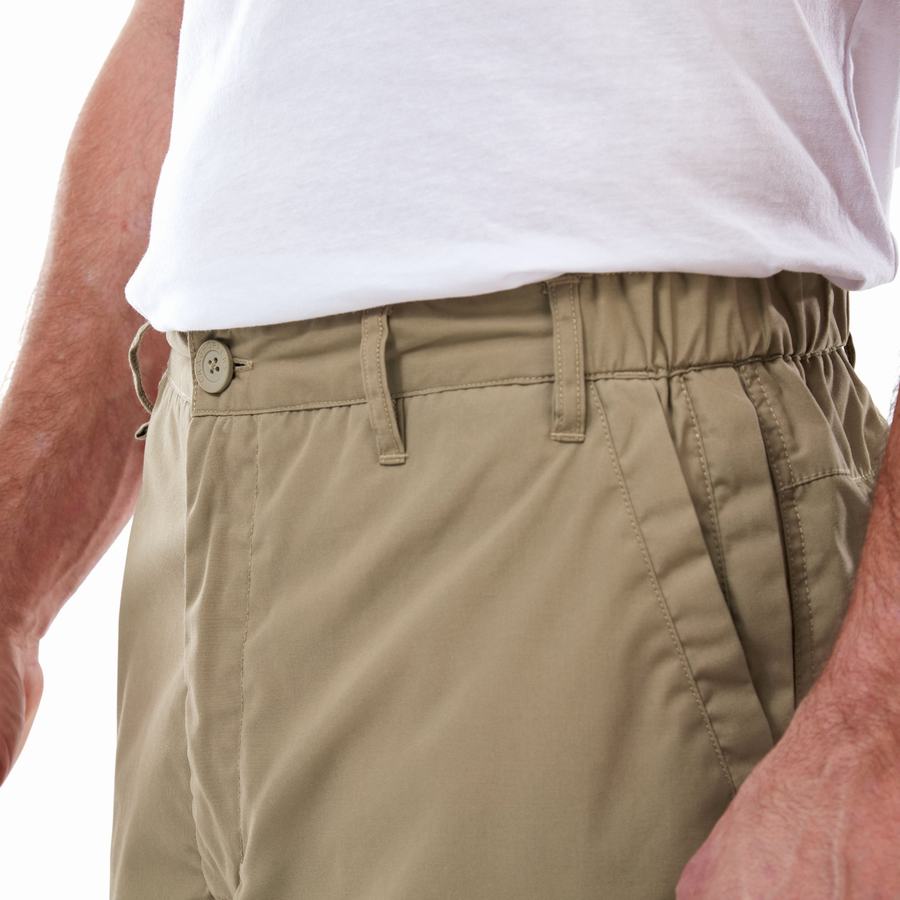 Craghoppers Kiwi Long Shorts Herre Khaki | AME7127GJ