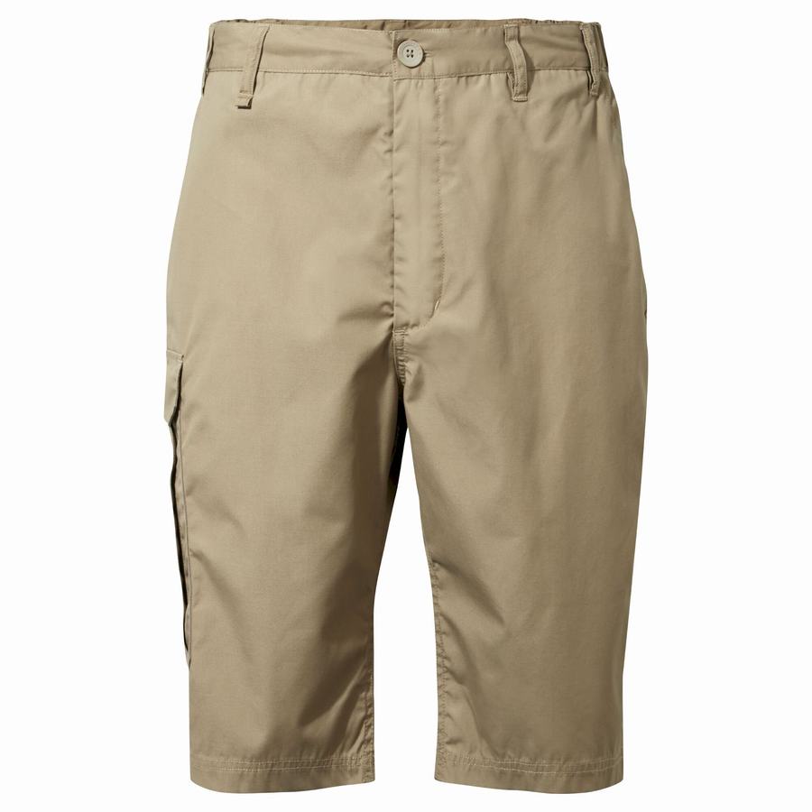 Craghoppers Kiwi Long Shorts Herre Khaki | AME7127GJ