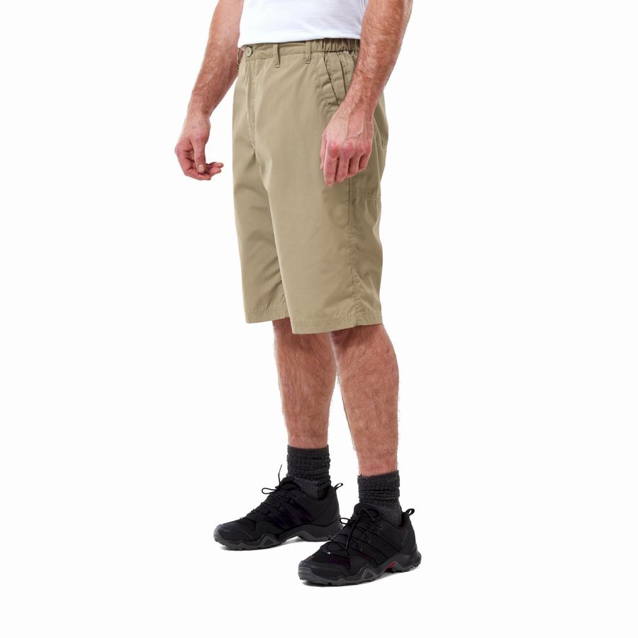 Craghoppers Kiwi Long Shorts Herre Khaki | AME7127GJ