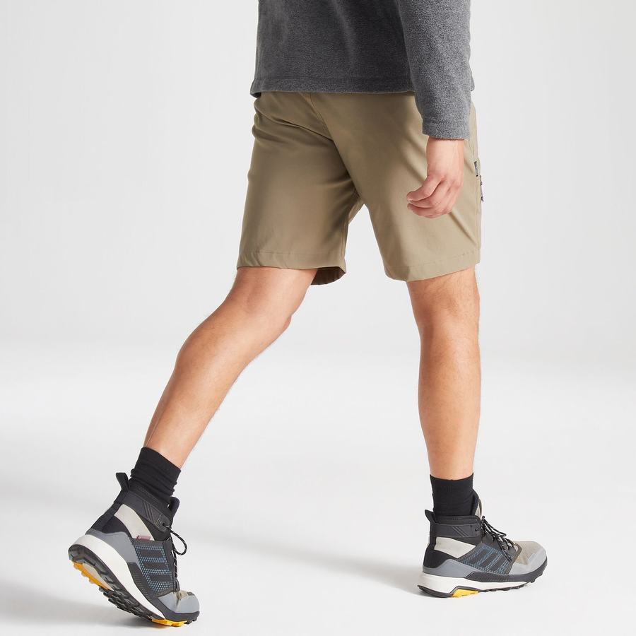 Craghoppers Kiwi Pro Shorts Herre Khaki | SUY8411RD