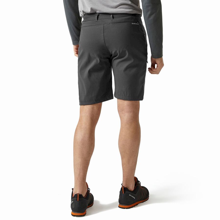 Craghoppers Kiwi Pro Shorts Herre Mørkegrå | HPM3963PR