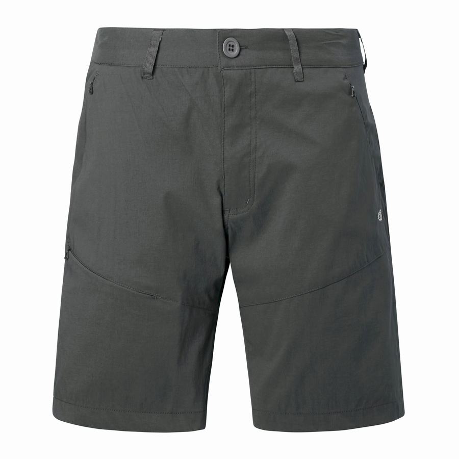 Craghoppers Kiwi Pro Shorts Herre Mørkegrå | HPM3963PR