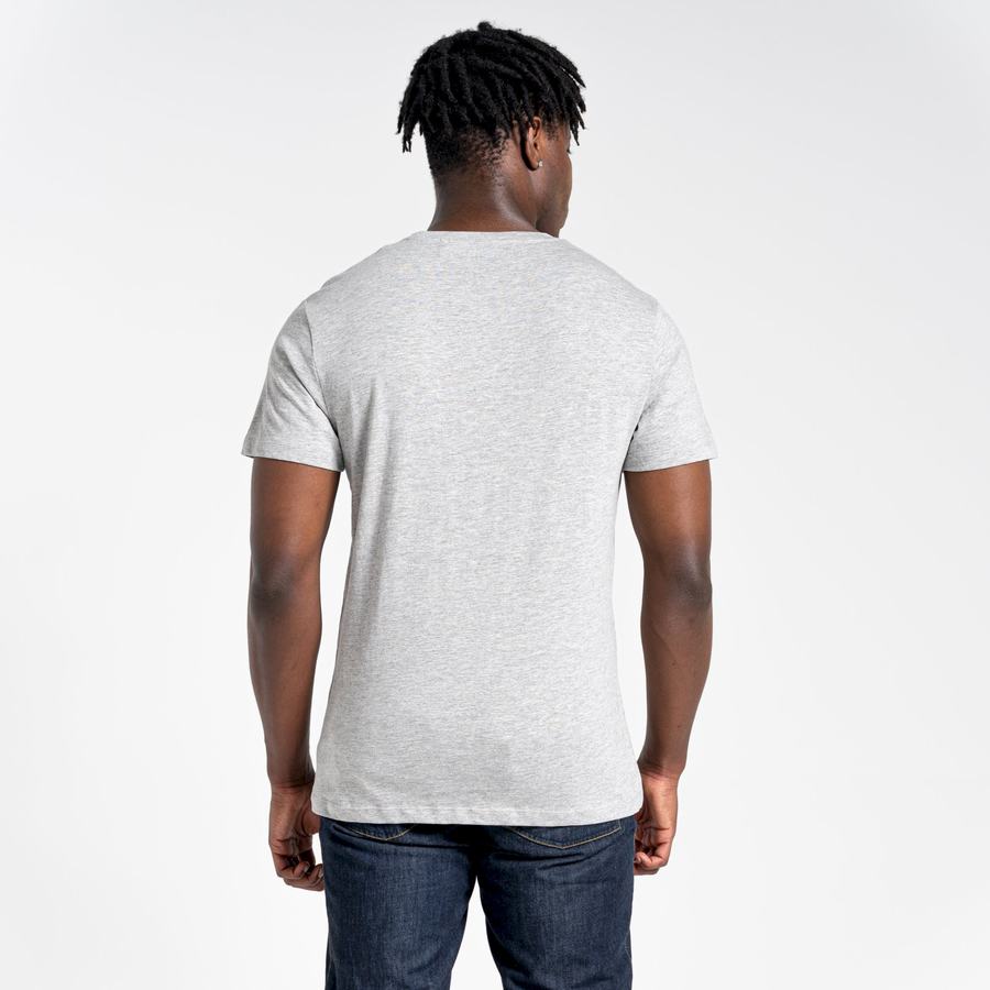 Craghoppers Lugo Kort Sleeved T-shirts Herre Grå | EJG681XZ