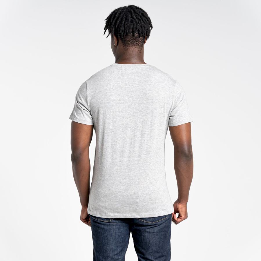 Craghoppers Lugo Kort Sleeved T-shirts Herre Grå | FXW6583TY