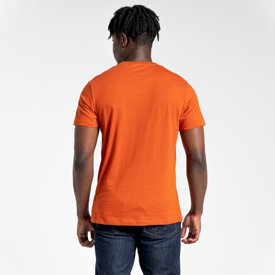 Craghoppers Lugo Kort Sleeved T-shirts Herre Orange | HQC6094WY