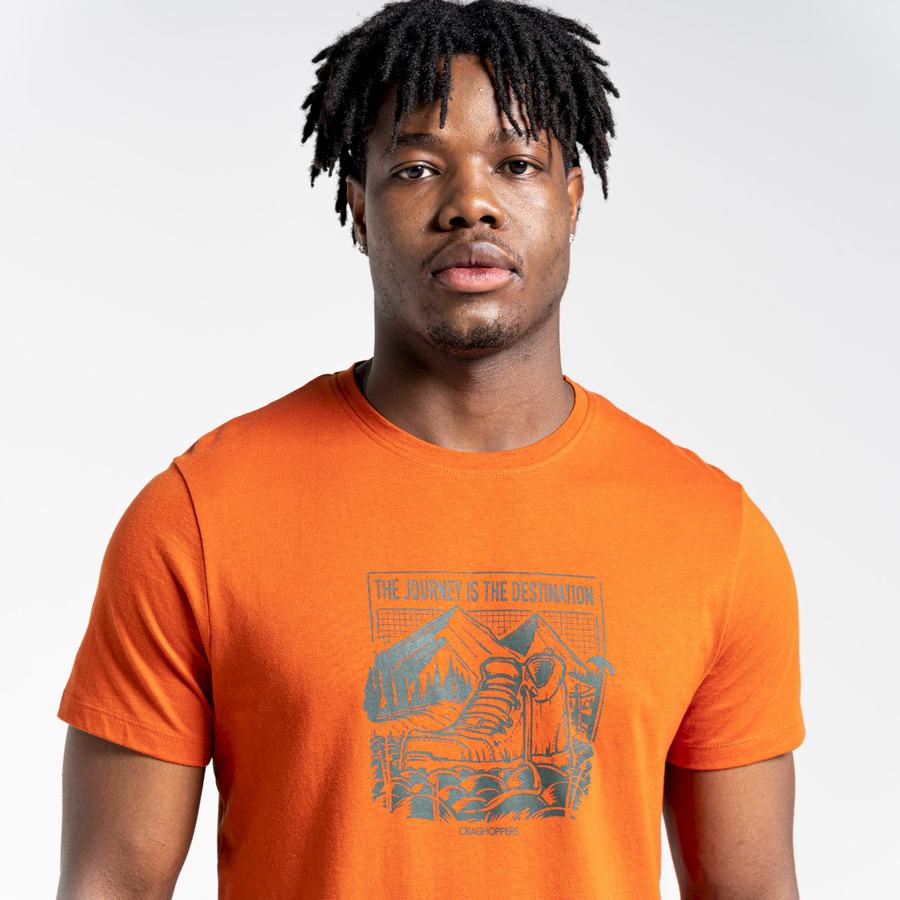 Craghoppers Lugo Kort Sleeved T-shirts Herre Orange | HQC6094WY