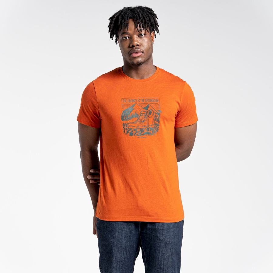 Craghoppers Lugo Kort Sleeved T-shirts Herre Orange | HQC6094WY