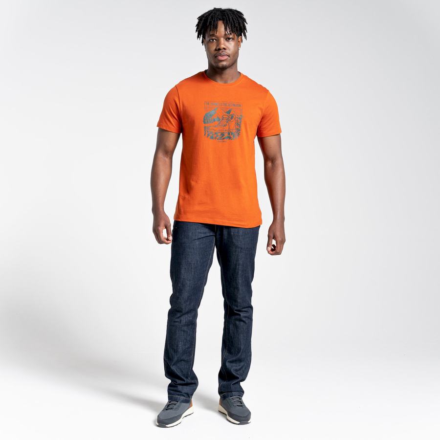 Craghoppers Lugo Kort Sleeved T-shirts Herre Orange | HQC6094WY