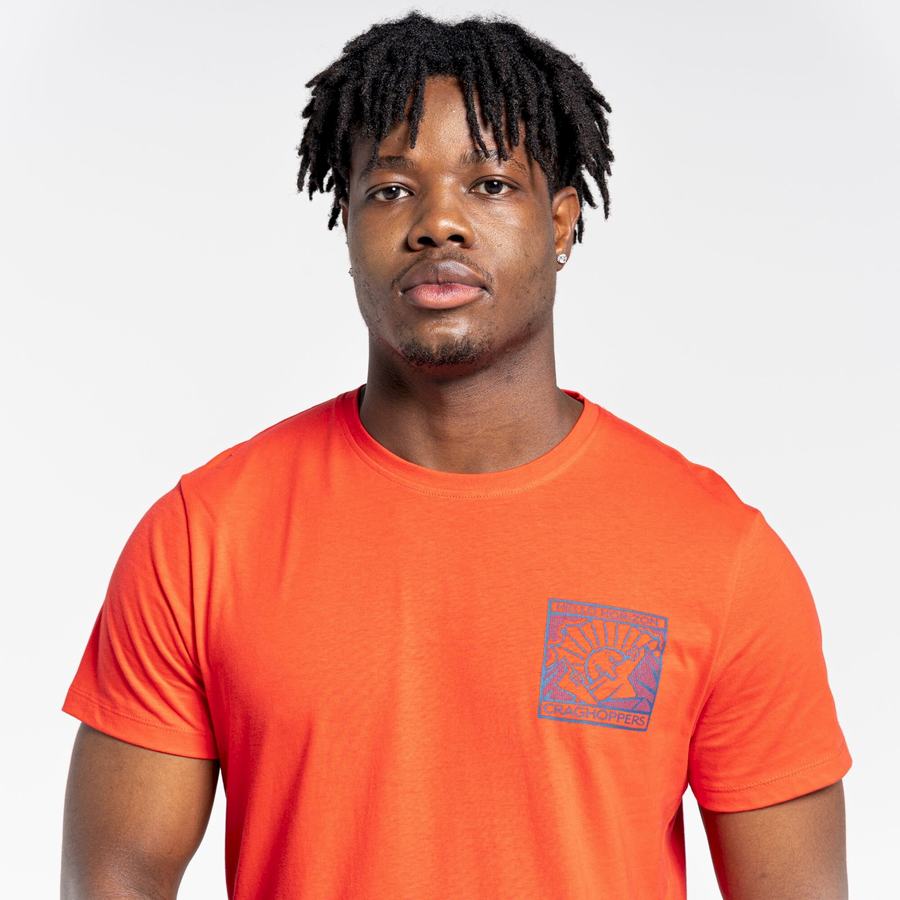 Craghoppers Lugo Kort Sleeved T-shirts Herre Orange Rød | NMF2875DT