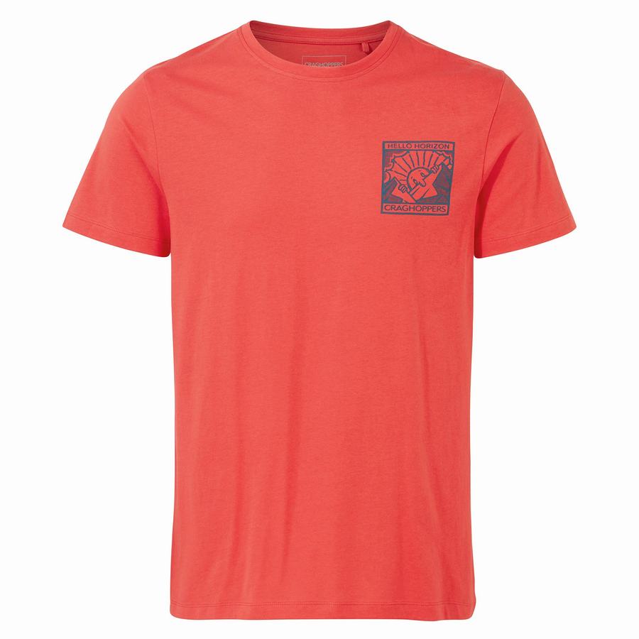 Craghoppers Lugo Kort Sleeved T-shirts Herre Orange Rød | NMF2875DT