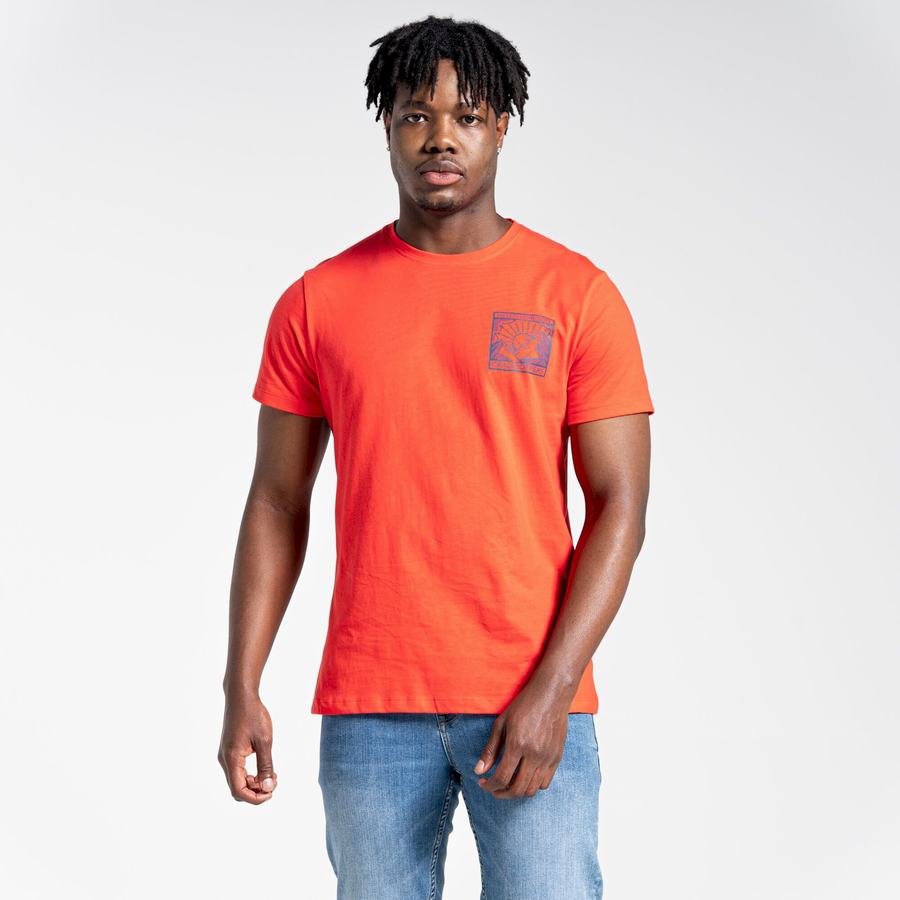 Craghoppers Lugo Kort Sleeved T-shirts Herre Orange Rød | NMF2875DT