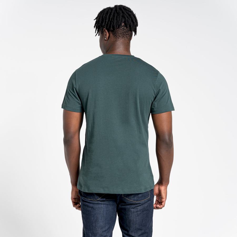 Craghoppers Lugo Kort Sleeved T-shirts Herre Lysegrøn | XEZ9996HO