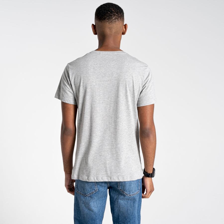 Craghoppers Lugo Kort Sleeved T-shirts Herre Grå | YIH444OX