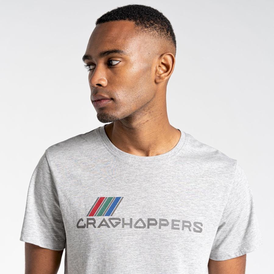 Craghoppers Lugo Kort Sleeved T-shirts Herre Grå | YIH444OX