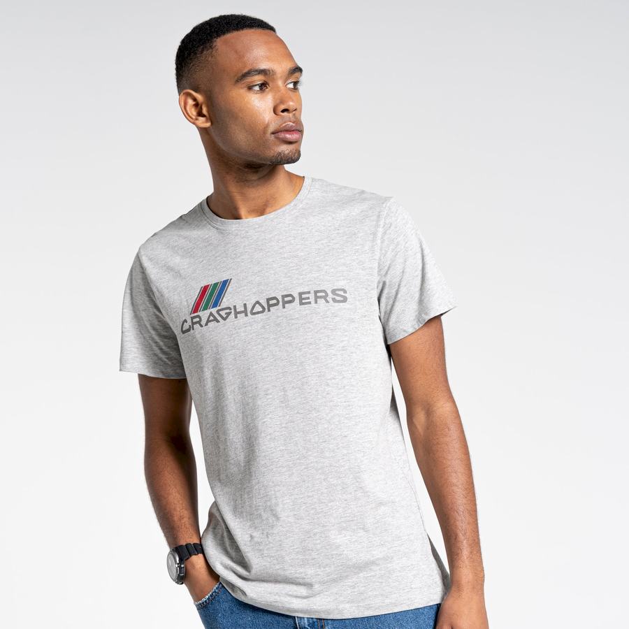 Craghoppers Lugo Kort Sleeved T-shirts Herre Grå | YIH444OX