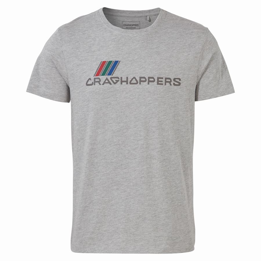 Craghoppers Lugo Kort Sleeved T-shirts Herre Grå | YIH444OX