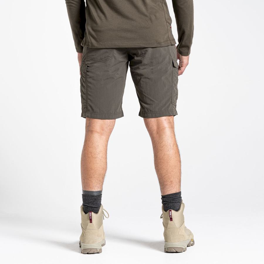 Craghoppers NosiLife Cargo II Shorts Herre Grøn | BBB3193ZU