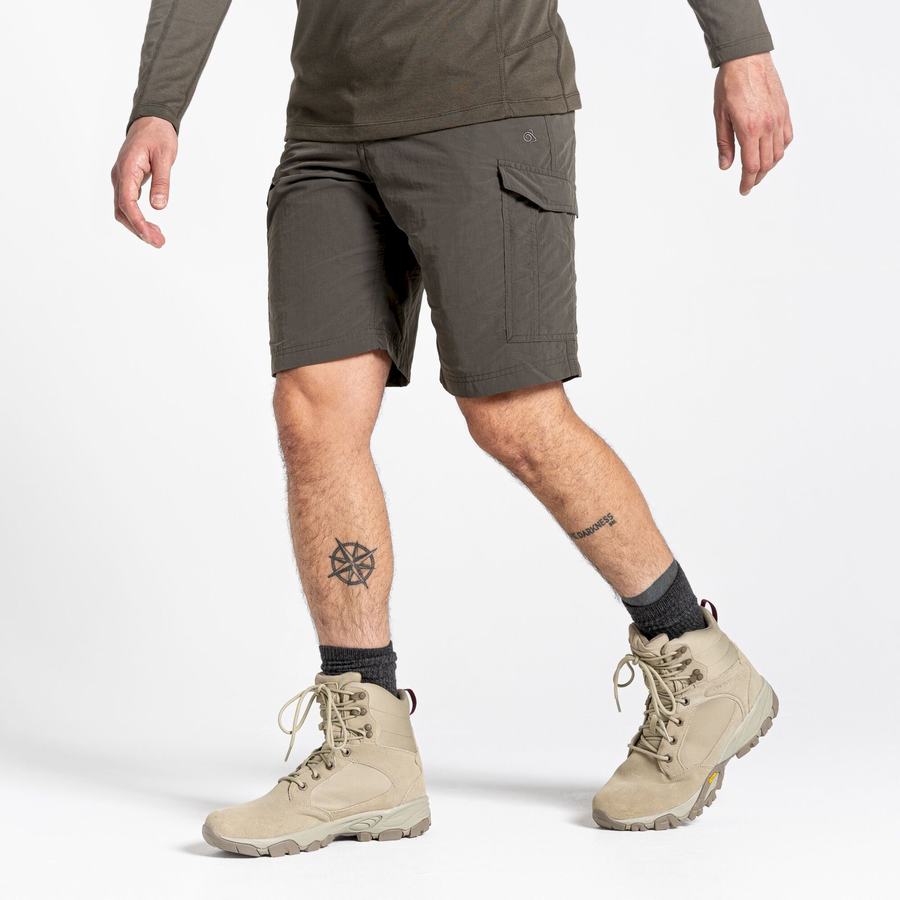 Craghoppers NosiLife Cargo II Shorts Herre Grøn | BBB3193ZU