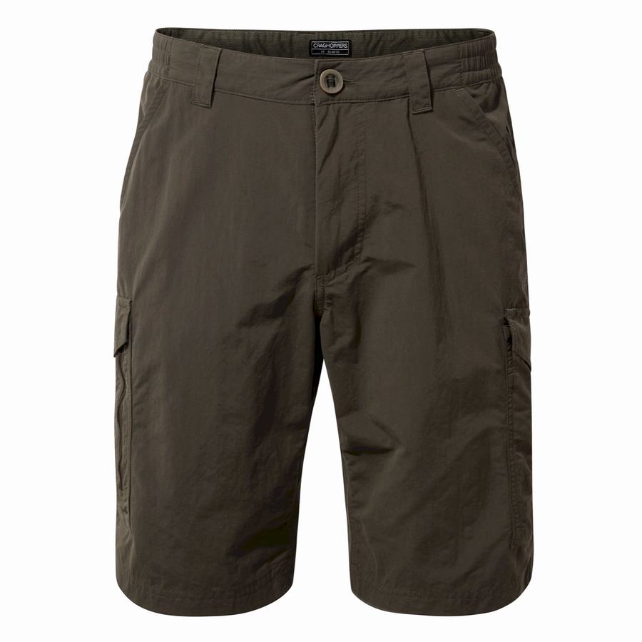 Craghoppers NosiLife Cargo II Shorts Herre Grøn | BBB3193ZU