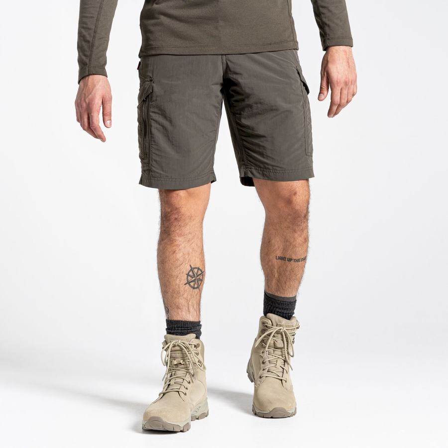 Craghoppers NosiLife Cargo II Shorts Herre Grøn | BBB3193ZU