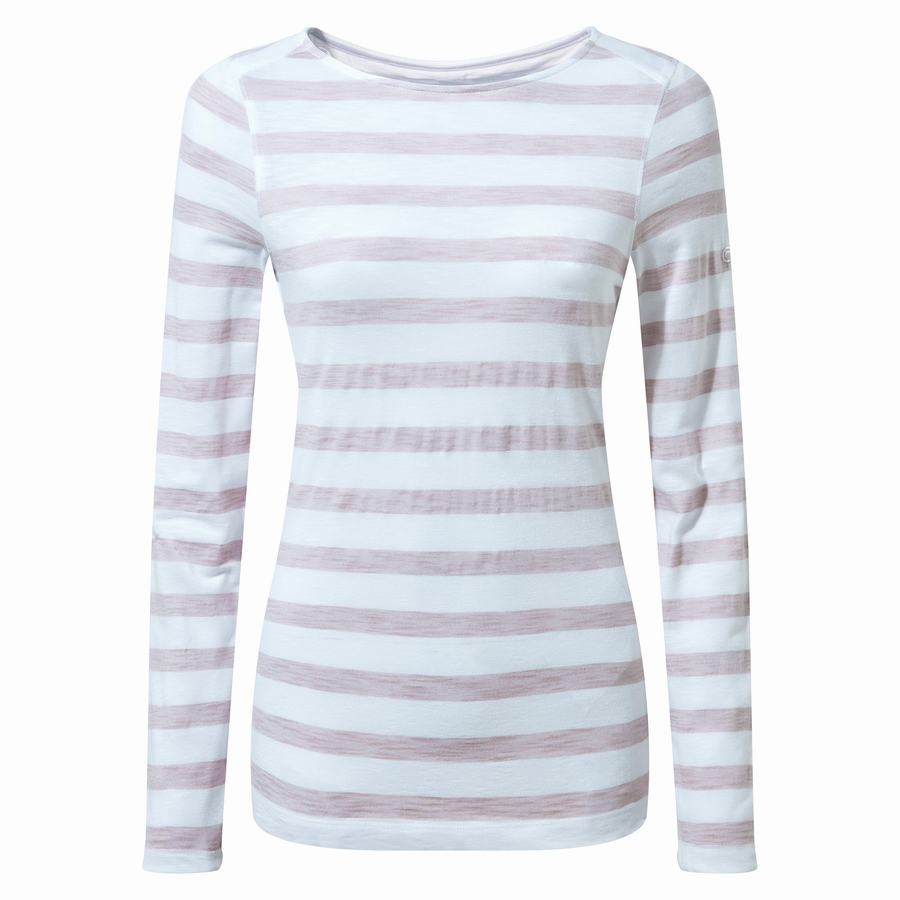 Craghoppers NosiLife Erin Long Sleeved T-shirts Dame Lilla Striber | NCF4717OL