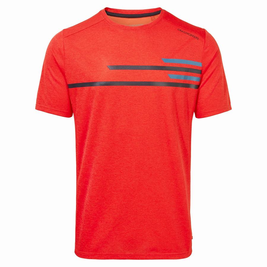 Craghoppers NosiLife Pro Active Kort Sleeved T-shirts Herre Orange Rød | IDL3253SY