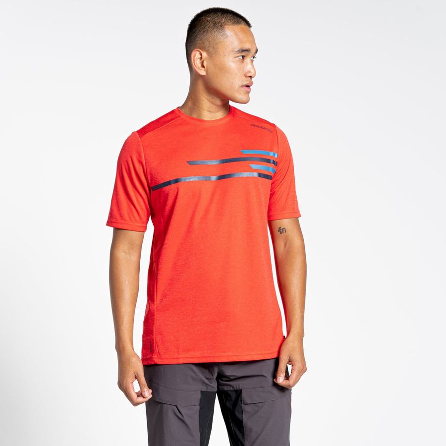 Craghoppers NosiLife Pro Active Kort Sleeved T-shirts Herre Orange Rød | IDL3253SY