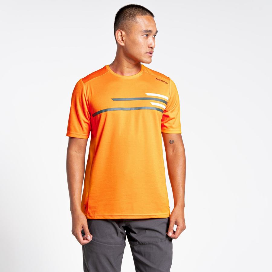 Craghoppers NosiLife Pro Active Kort Sleeved T-shirts Herre Orange | IKY8438FE