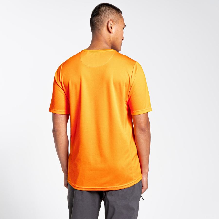 Craghoppers NosiLife Pro Active Kort Sleeved T-shirts Herre Orange | IKY8438FE