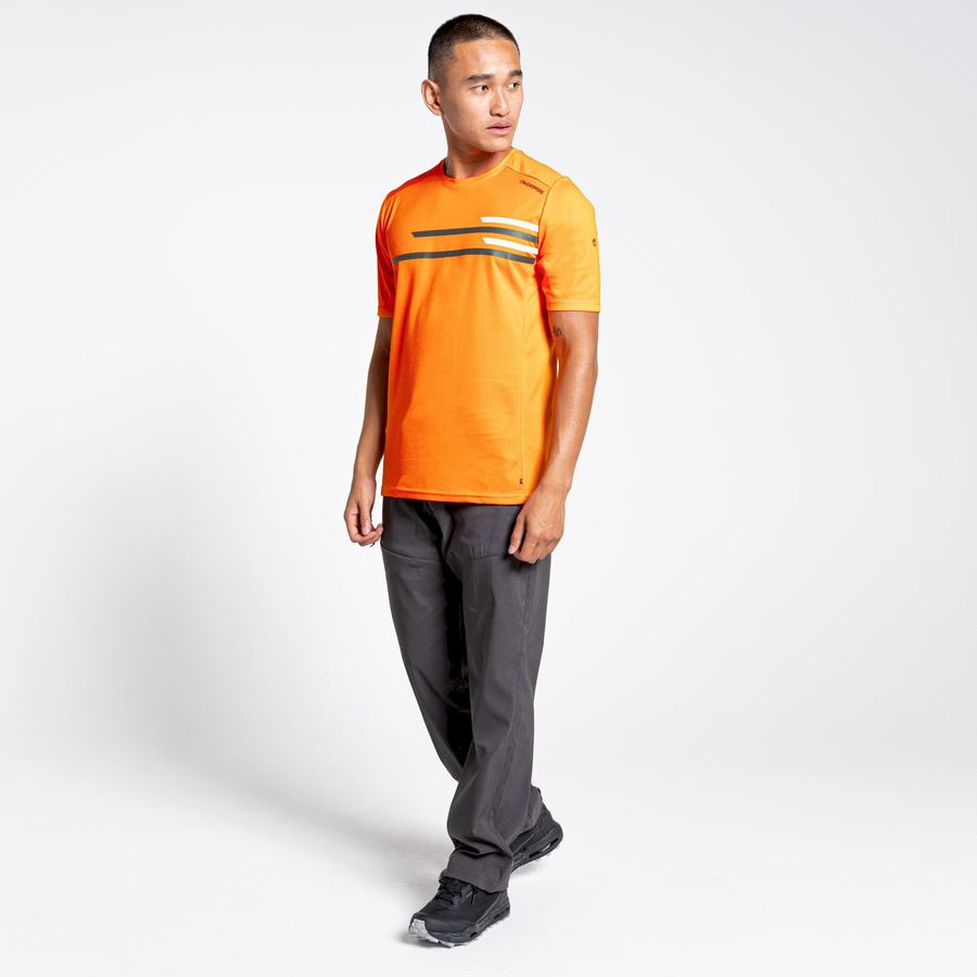 Craghoppers NosiLife Pro Active Kort Sleeved T-shirts Herre Orange | IKY8438FE