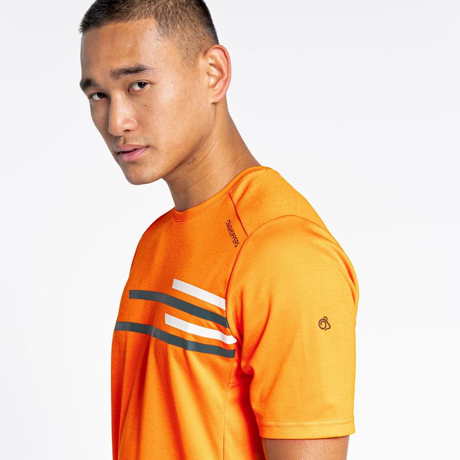 Craghoppers NosiLife Pro Active Kort Sleeved T-shirts Herre Orange | IKY8438FE