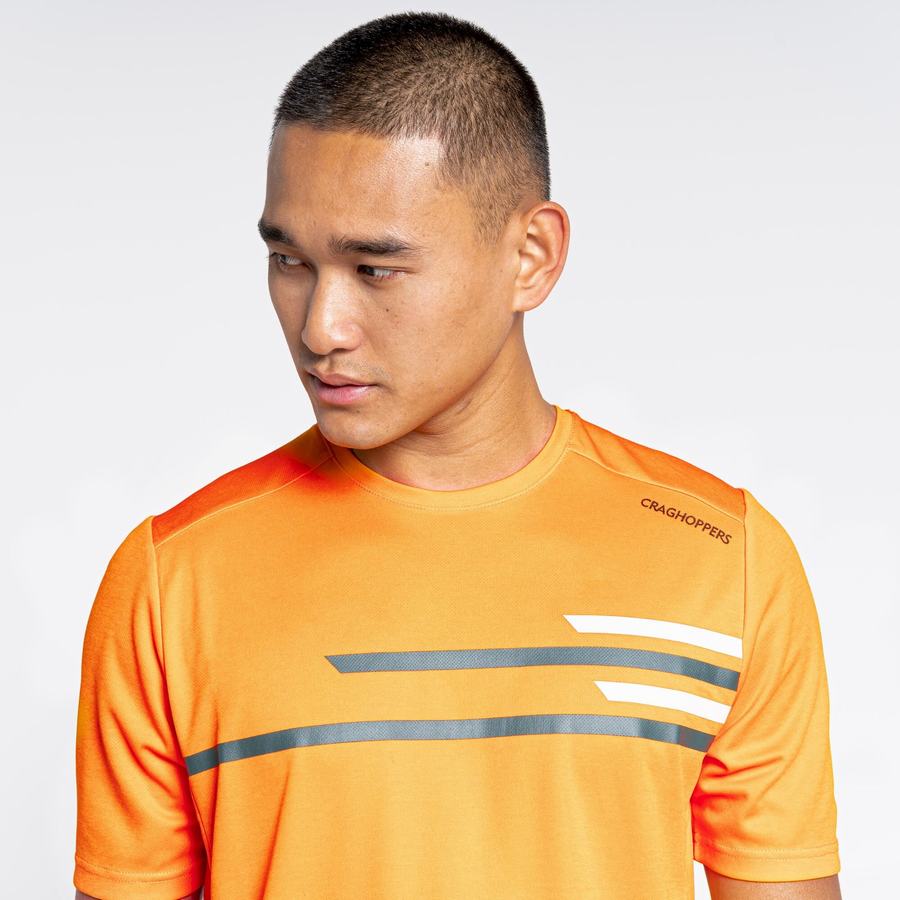 Craghoppers NosiLife Pro Active Kort Sleeved T-shirts Herre Orange | IKY8438FE