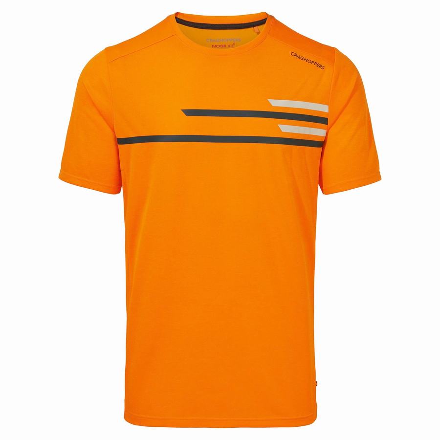 Craghoppers NosiLife Pro Active Kort Sleeved T-shirts Herre Orange | IKY8438FE