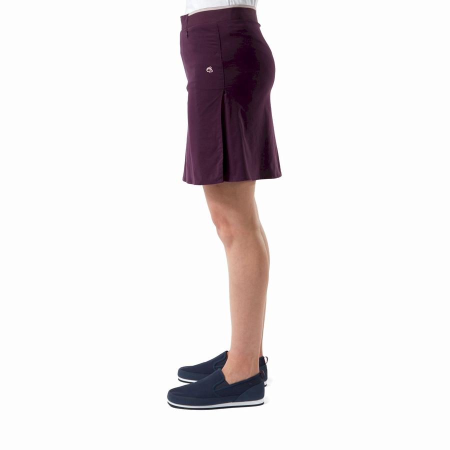 Craghoppers NosiLife Pro Skort Shorts Dame Lilla | DBJ1628CO